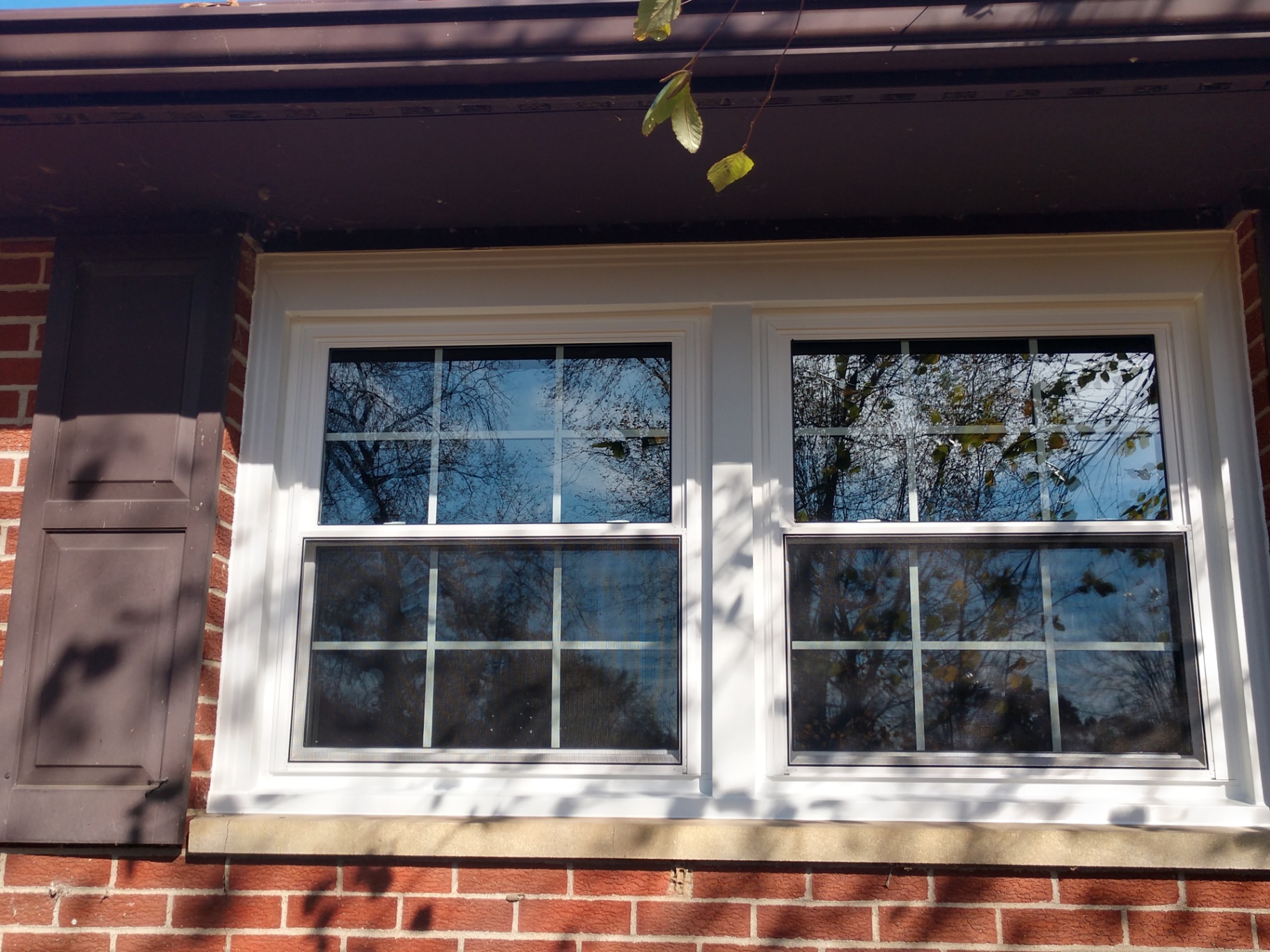 Ottinger windows
